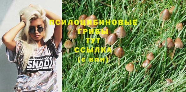 spice Каменка