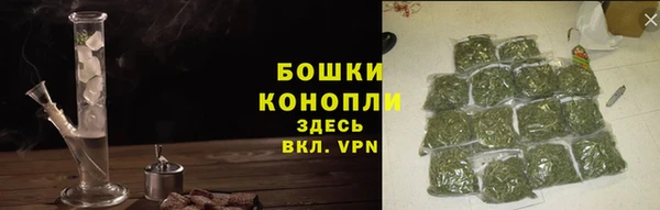 ГАЛЛЮЦИНОГЕННЫЕ ГРИБЫ Каменногорск