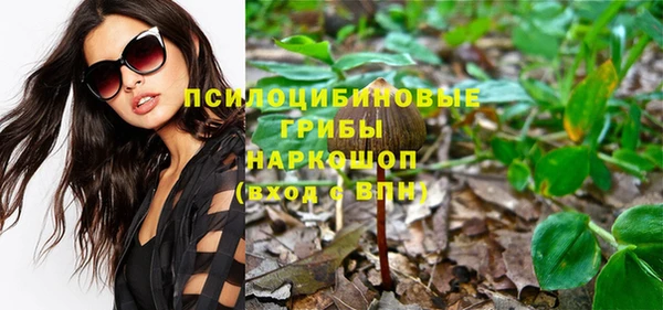 spice Каменка