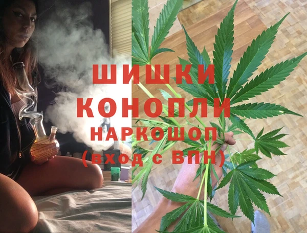 spice Каменка