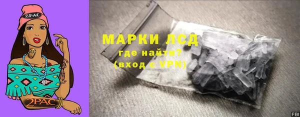 spice Каменка